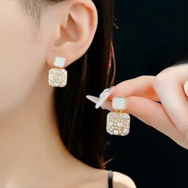Earrings For Women Jewelry Party Gift